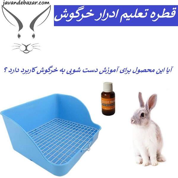 قطره تعلیم ادرار خرگوش