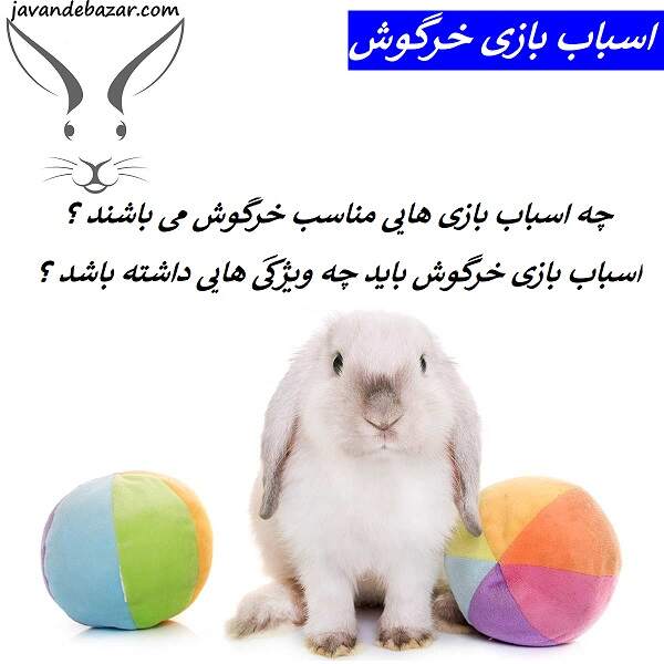 اسباب بازی خرگوش خوکچه هندی همستر